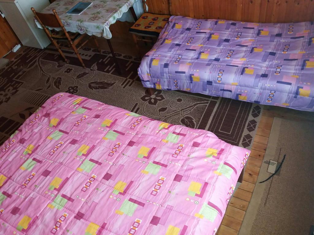 Guesthouse Durmitor Magic Žabljak Exteriör bild